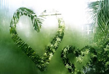 雷火电竞官方正版网站-狂胜！卡迪夫城主场-横扫斯旺西的简单介绍