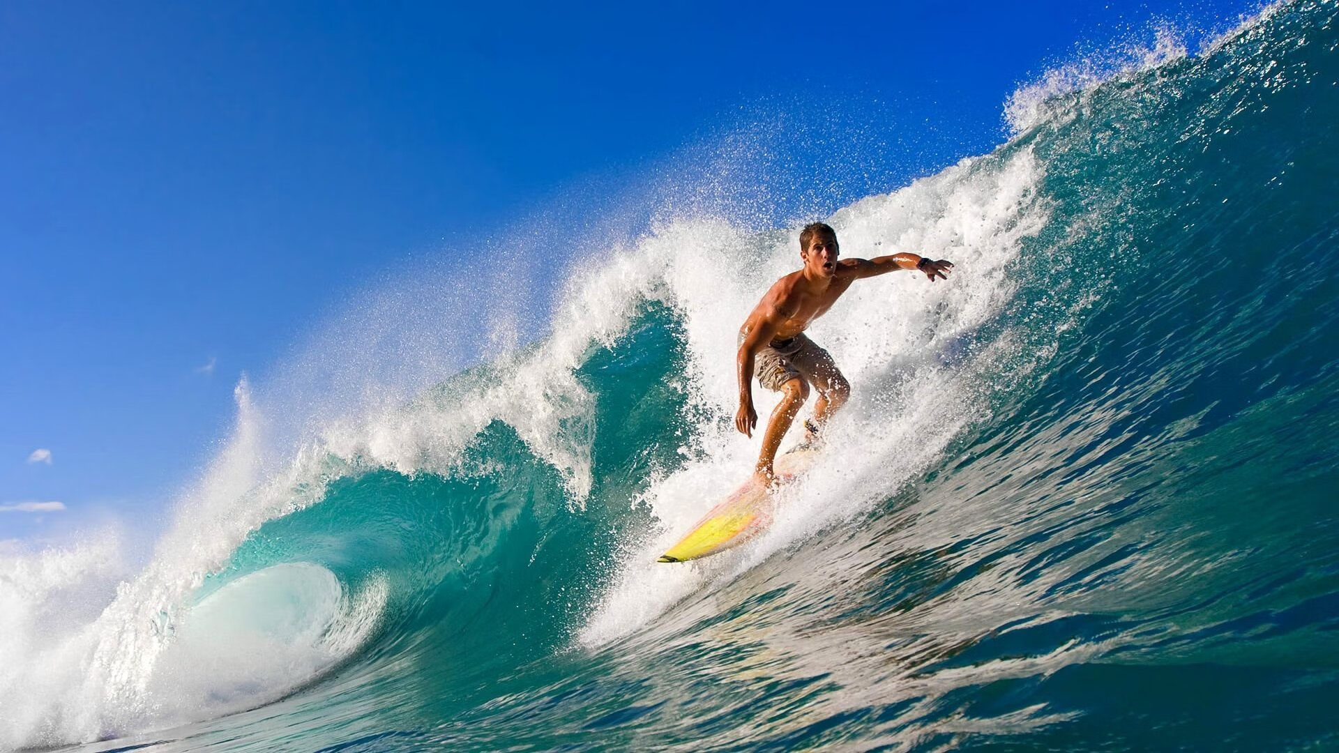 奥运周期关键战之夜,厄德高发挥堪称完美